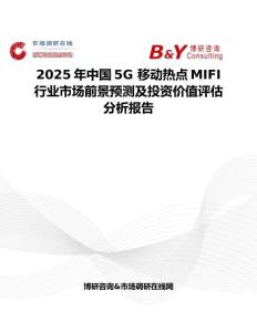 2025年中国5G 移动热点MIFI行业市场前景预测及投资价值评估分析报告