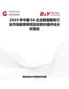 2025年中国5G企业数据服务行业市场前景预测及投资价值评估分析报告