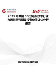 2025年中国5G双连接技术行业市场前景预测及投资价值评估分析报告