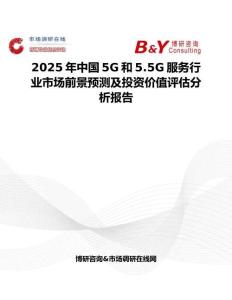 2025年中国5G和5.5G服务行业市场前景预测及投资价值评估分析报告