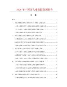 2026年中国开孔球数据监测报告.docx