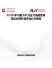 2025年中国SiP行业市场前景预测及投资价值评估分析报告