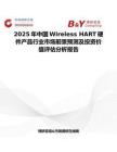 2025年中国Wireless HART硬件产品行业市场前景预测及投资价值评估分析报告