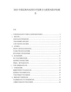 2025中国近海风电项目开发潜力与投资风险评估报告.docx
