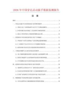 2026年中国穿孔活动扳手数据监测报告.docx