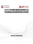 2025年中国中量级匹克球拍行业市场规模及投资前景预测分析报告