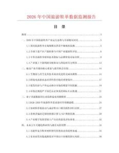 2026年中国旅游鞋革数据监测报告.docx