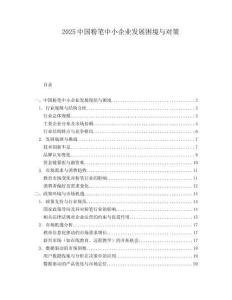 2025中国粉笔中小企业发展困境与对策.docx