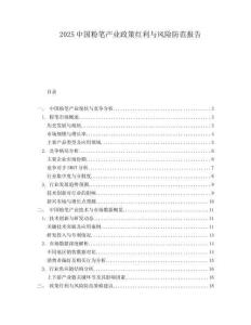 2025中国粉笔产业政策红利与风险防范报告.docx