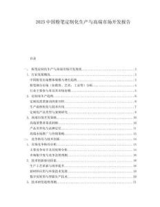 2025中国粉笔定制化生产与高端市场开发报告.docx