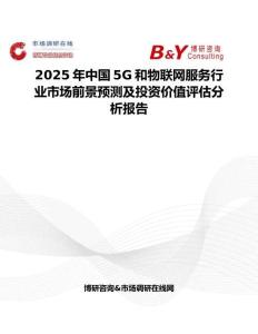 2025年中国5G和物联网服务行业市场前景预测及投资价值评估分析报告