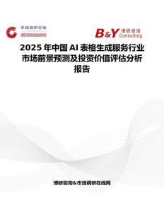 2025年中国AI表格生成服务行业市场前景预测及投资价值评估分析报告