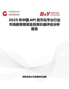 2025年中国API货币化平台行业市场前景预测及投资价值评估分析报告