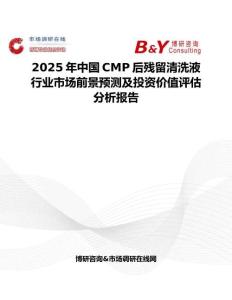 2025年中国CMP后残留清洗液行业市场前景预测及投资价值评估分析报告