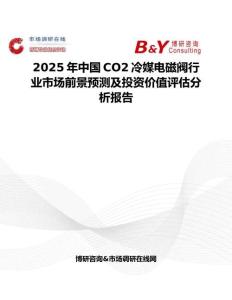 2025年中国CO2冷媒电磁阀行业市场前景预测及投资价值评估分析报告
