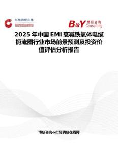 2025年中国EMI衰减铁氧体电缆扼流圈行业市场前景预测及投资价值评估分析报告