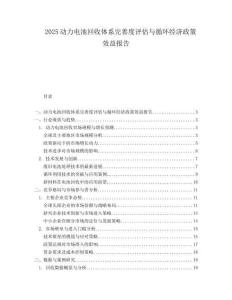 2025动力电池回收体系完善度评估与循环经济政策效益报告.docx