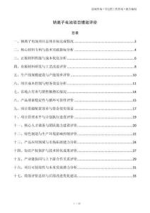 钠离子电池项目绩效评价