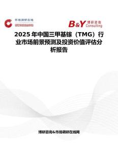 2025年中国三甲基镓（TMG）行业市场前景预测及投资价值评估分析报告
