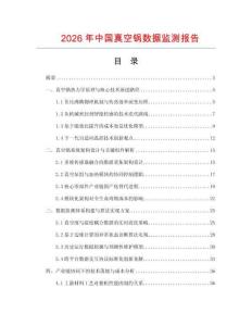 2026年中国真空锅数据监测报告.docx