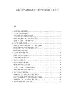 2025元宇宙概念落地与数字经济发展前景报告.docx