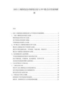 2025土壤修复技术路线比较与PPP模式应用案例解析.docx