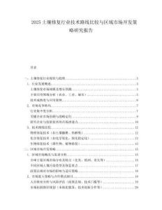 2025土壤修复行业技术路线比较与区域市场开发策略研究报告.docx