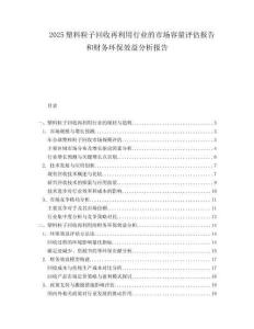 2025塑料粒子回收再利用行业的市场容量评估报告和财务环保效益分析报告.docx
