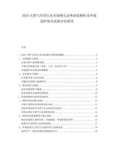 2025天然气应用行业市场增长态势深度解析及环境保护相关政策评估研究.docx