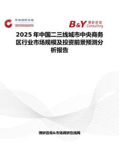 2025年中国二三线城市中央商务区行业市场规模及投资前景预测分析报告