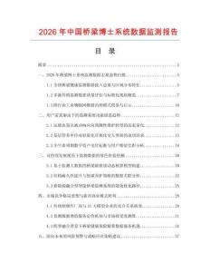 2026年中国桥梁博士系统数据监测报告.docx
