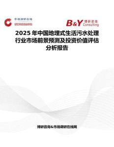 2025年中国地埋式生活污水处理行业市场前景预测及投资价值评估分析报告