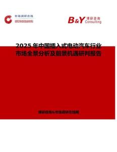 2025年中国插入式电动汽车行业市场全景分析及前景机遇研判报告
