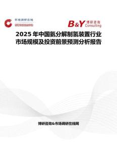 2025年中国氨分解制氢装置行业市场规模及投资前景预测分析报告