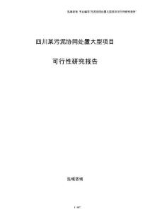 四川某污泥协同处置大型项目可行性研究报告