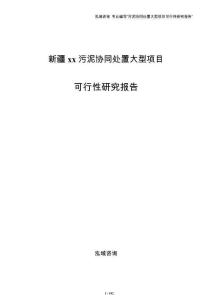 新疆xx污泥协同处置大型项目可行性研究报告