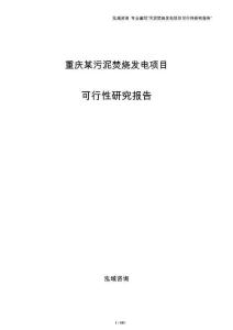 重庆某污泥焚烧发电项目可行性研究报告模板