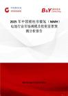 2025年中国棱柱形镍氢（NiMH）电池行业市场规模及投资前景预测分析报告