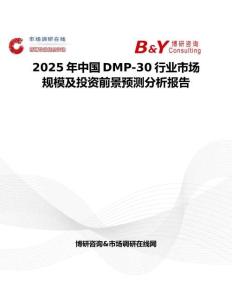 2025年中国DMP-30行业市场规模及投资前景预测分析报告