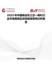 2025年中国电动车三合一喇叭行业市场规模及投资前景预测分析报告
