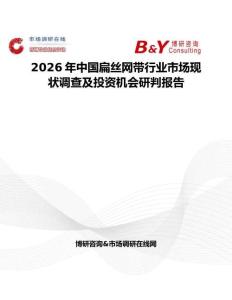 2026年中国扁丝网带行业市场现状调查及投资机会研判报告