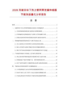 2026双碳目标下热力管网零泄漏伸缩器节能效益量化分析报告.docx