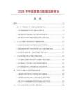 2026年中国雾泉灯数据监测报告.docx