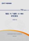 智能IP广域网（AI WAN）研究报告（2026年）