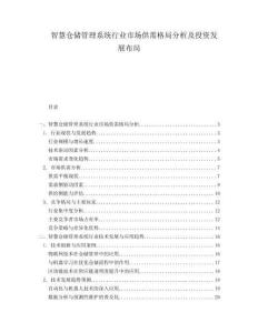 智慧仓储管理系统行业市场供需格局分析及投资发展布局.docx