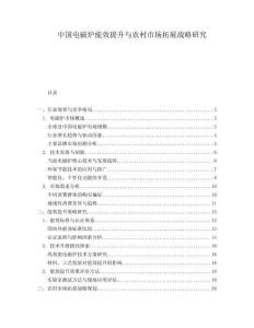 中国电磁炉能效提升与农村市场拓展战略研究.docx