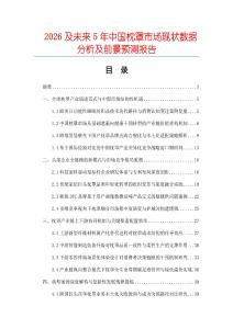 2026及未来5年中国枕罩市场现状数据分析及前景预测报告