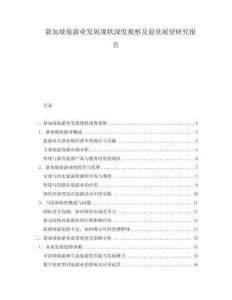 新加坡旅游业发展现状深度观察及前景展望研究报告.docx
