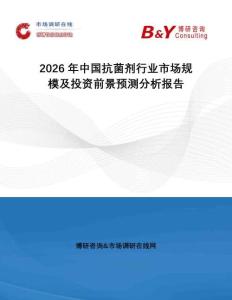 2026年中国抗菌剂行业市场规模及投资前景预测分析报告