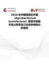 2026年中国根癌农杆菌（Agrobacterium tumefaciens）感受态细胞市场占有率及行业竞争格局分析报告